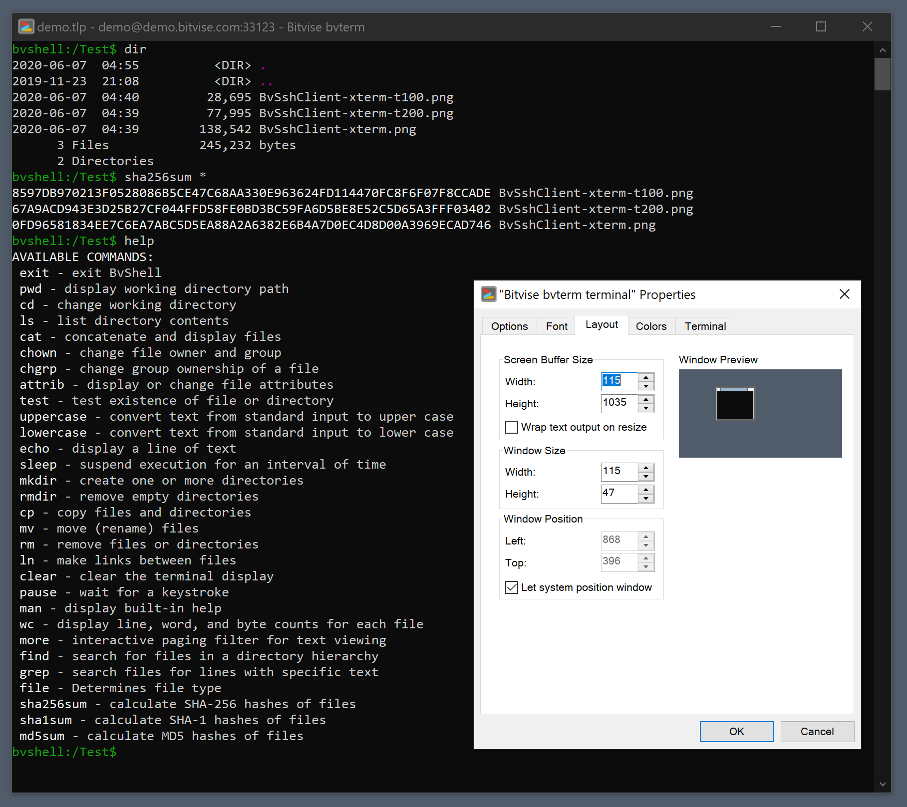 Bitvise sftp