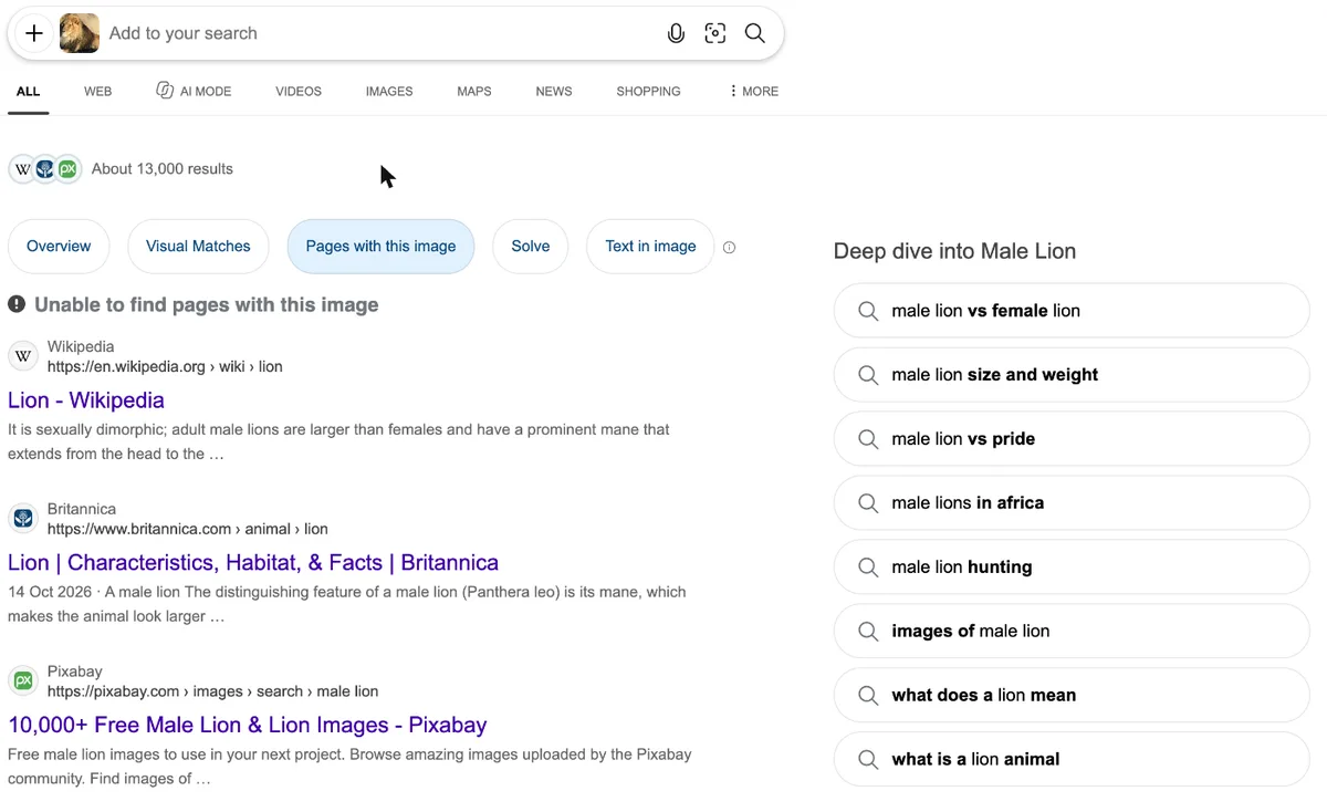 Bing Visual Search showing Unable to find pages with this image for the cropped lion photo