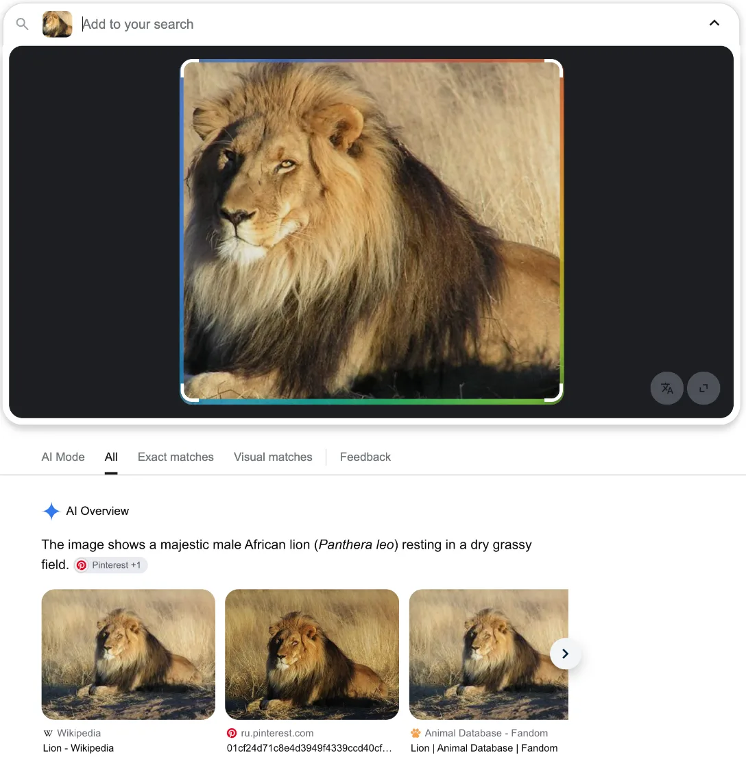 Google Lens results for a cropped lion photo with an AI overview and matching Wikipedia image