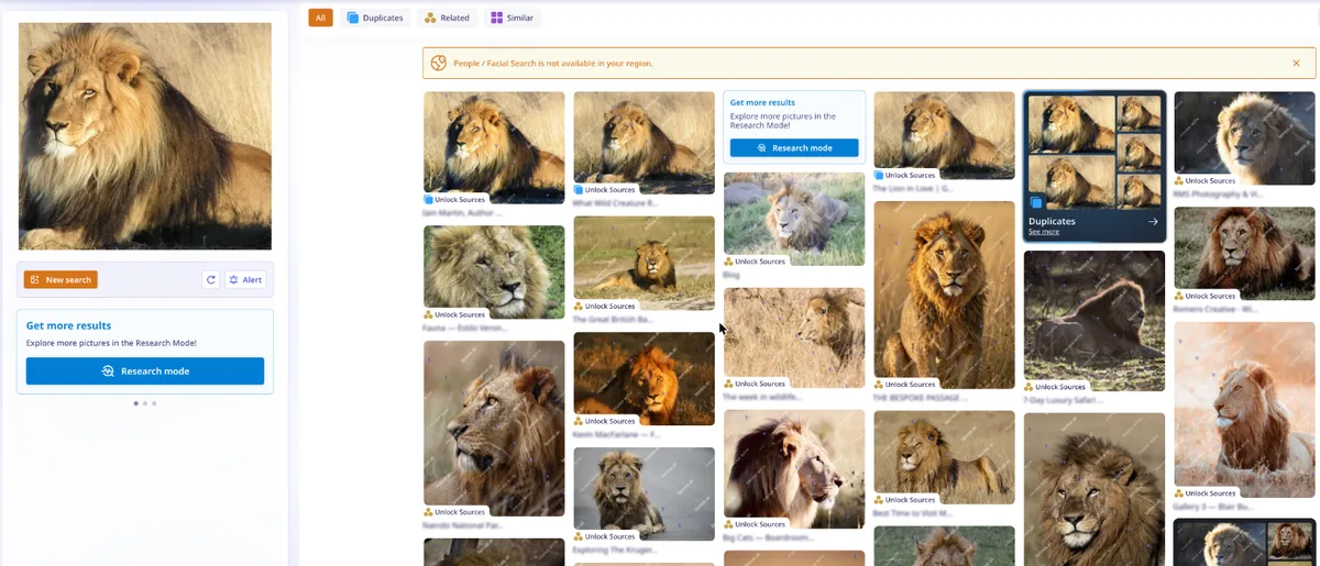 Lenso.ai results for the cropped lion photo with Duplicates, Related, and Similar groups and locked sources