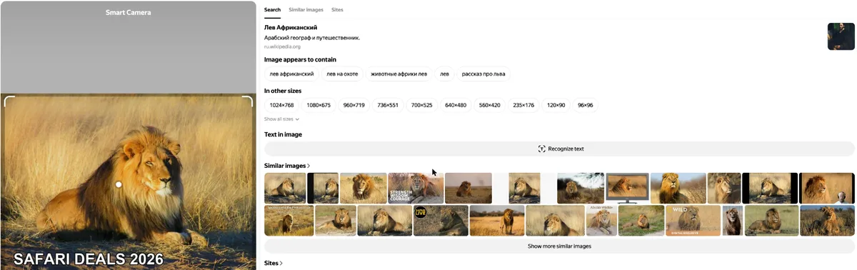 Yandex Images results for the edited lion photo labeled as Leo Africanus, with other sizes and similar images