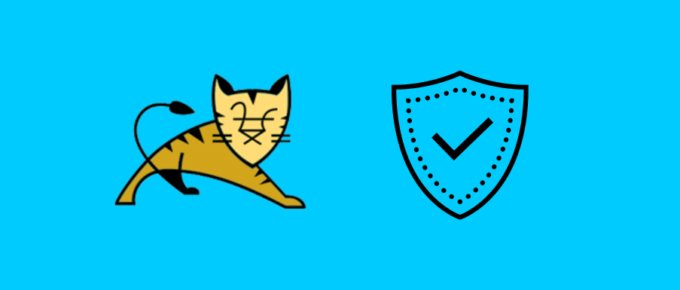 tomcat security 1