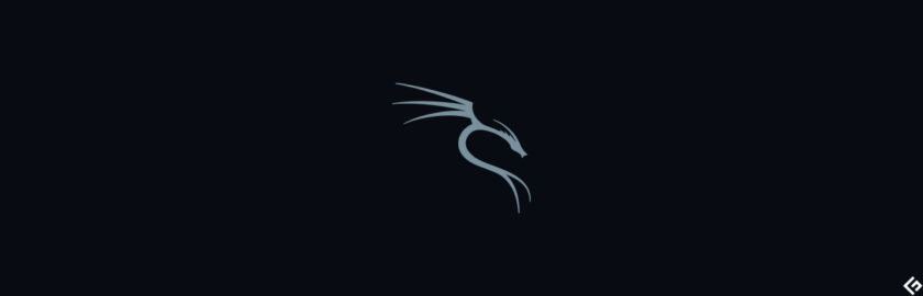 Фото kali linux