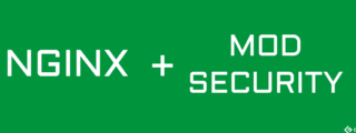 nginx mod security