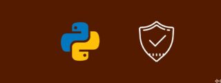 python security scanner