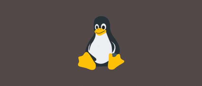 linux