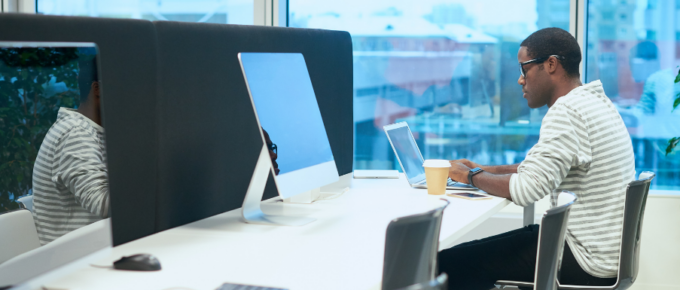 wordpress developer hiring