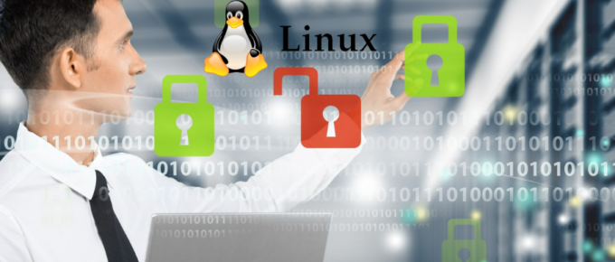 Tools to Scan Linux Servers for Security Flaws and Malware
