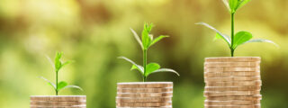 accounting software