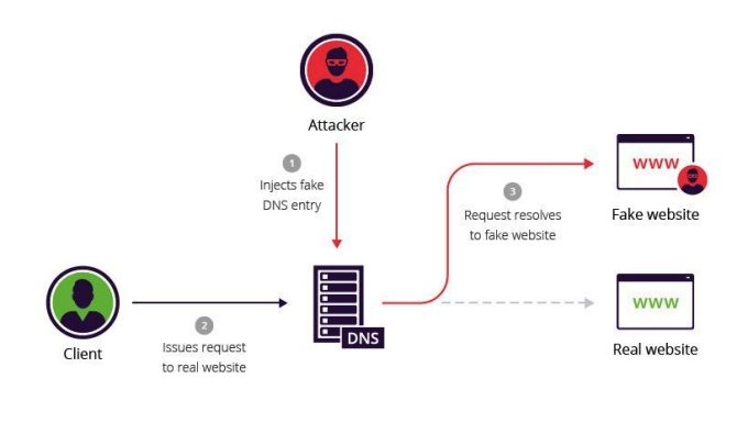 What is DNS Cache Poisoning - How it Works and Prevention Measures ...