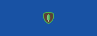 mongodb