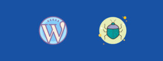 wordpress debugging