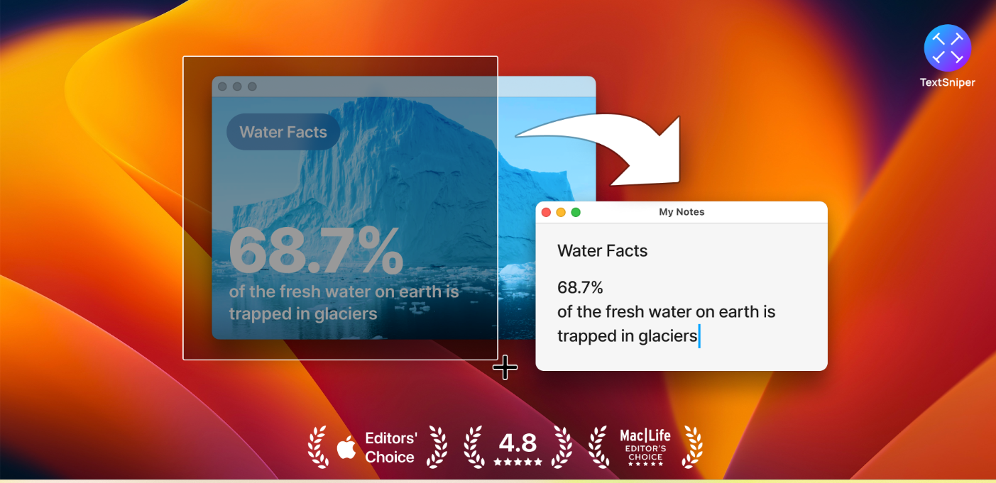 TextSnipper