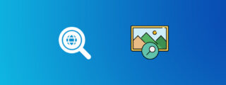 reverse image search