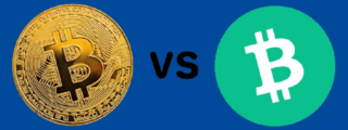 bitcoin vs bitcoin cash