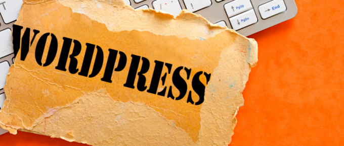 wordpress care plan