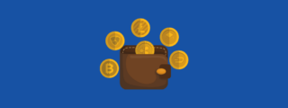 crypto hardware wallets
