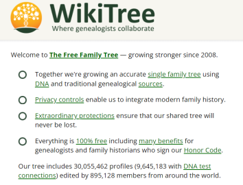 Make a Family Tree With These 8 Best Tools - Geekflare