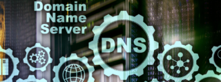 host command for DNS