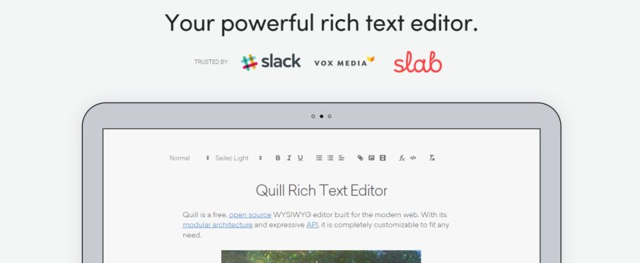 9 Best WYSIWYG Editor To Integrate Into Your Application [Developer ...