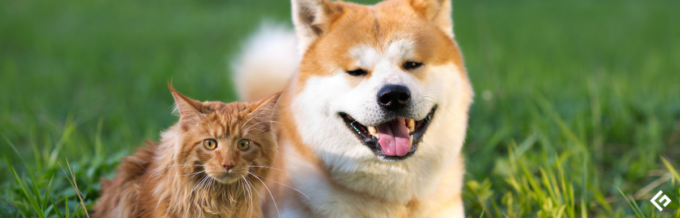 aplicaciones para cuidadores de mascotas