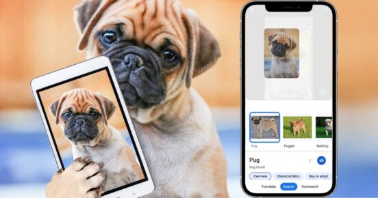 google-lens-for-iphone-geekflare