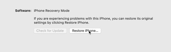 How to Put Your iPhone in Device Firmware Update  DFU  Mode   Geekflare - 80