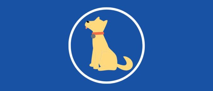 8 E-Collars to Help Train Your Dogs