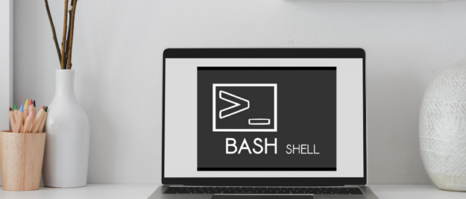 Bash For Loop Examples