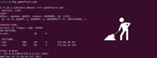 dig commands