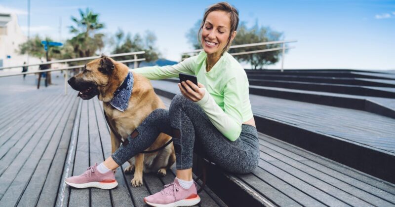 Beste Hundetrainings-Apps für vielbeschäftigte Haustiereltern