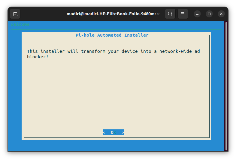 Pi Hole Setup on Linux for Better and Ad Free Experience - 37