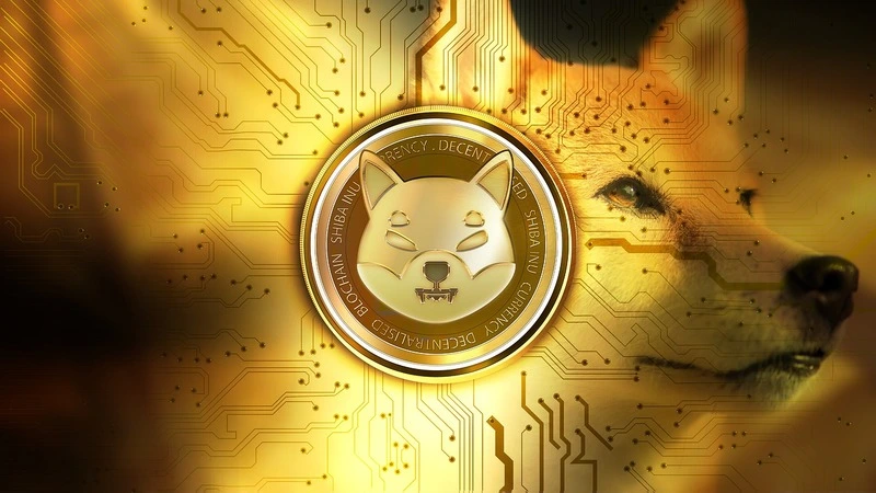 Shibu-Inu-SHIB