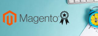 Magneto 2 Associate Developer Certification Exam