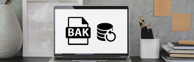 Cómo restaurar y abrir archivos .Bak como un profesional