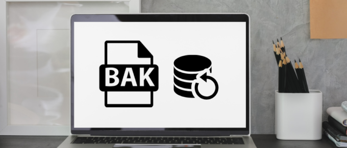 How to Restore & Open .Bak Files Like a Pro