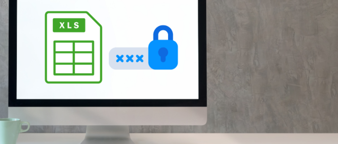 Password Protection in Excel