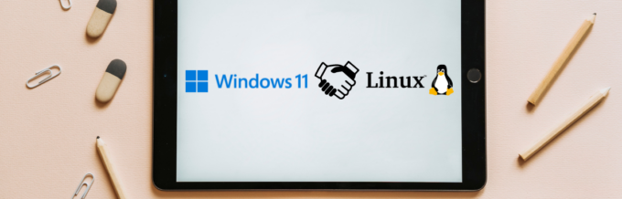 Windows 11 Meets Linux
