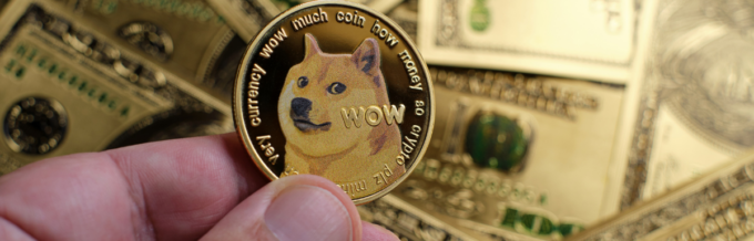 monedero-dogecoin-1