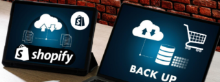 Best Shopify Backup Apps