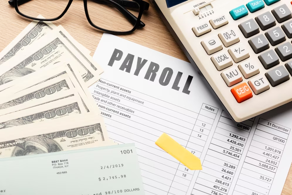 Features-To-Look-For-When-Choosing-Payroll-Software-in-India