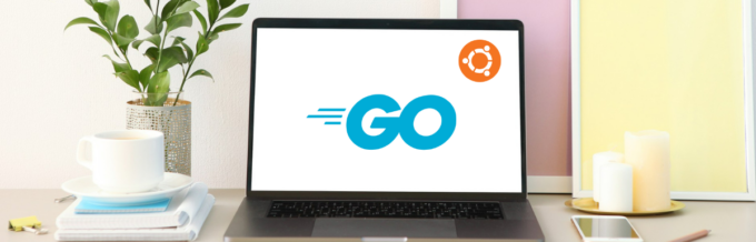 How to Install Go (Golang) on Ubuntu in 5 Minutes