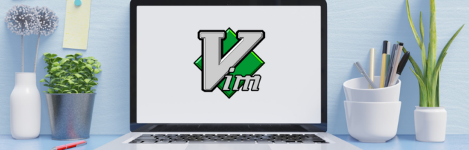 Saving and Quitting Vim Editor