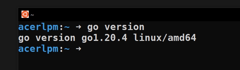 go version check