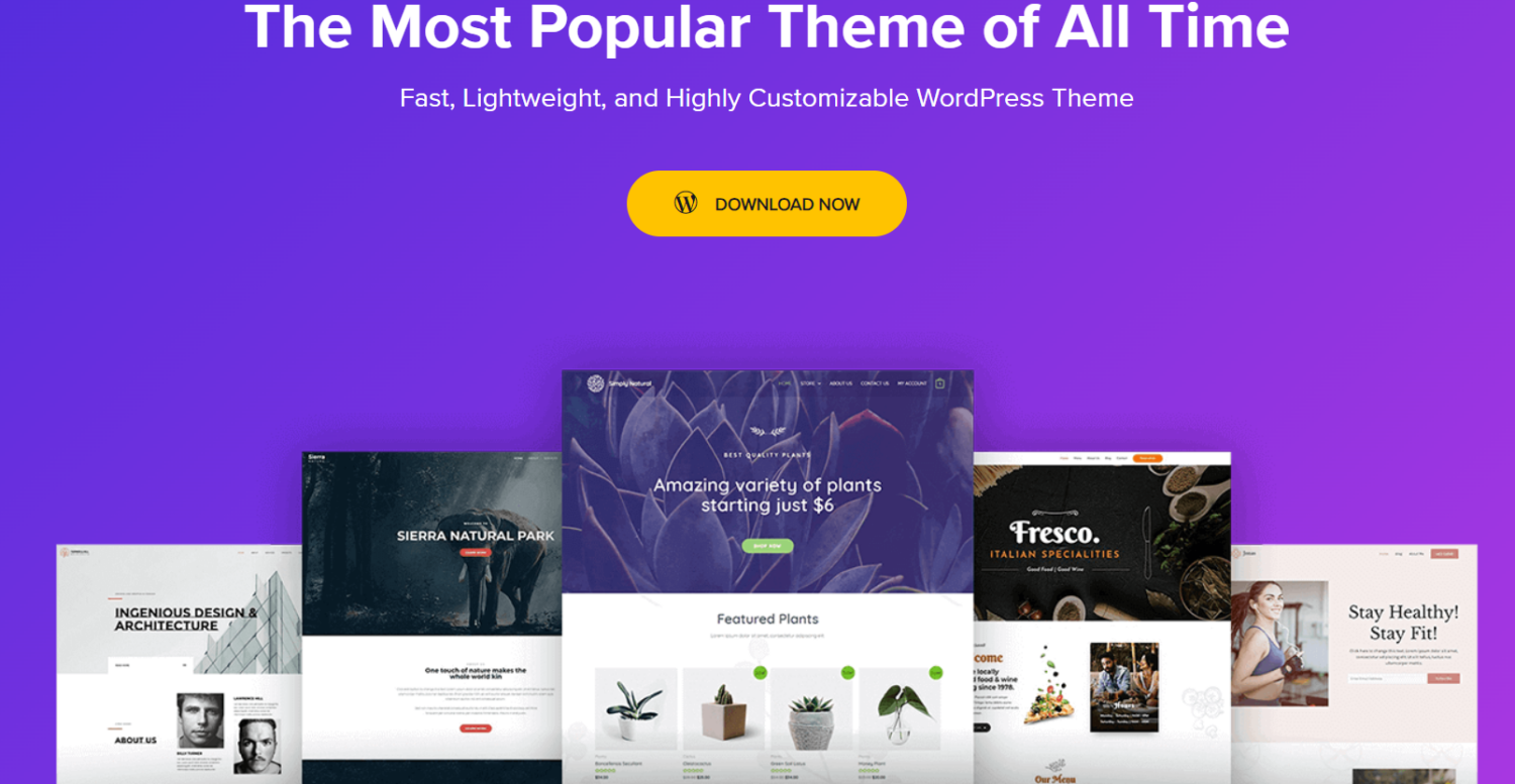 Astra-wordpress-thème