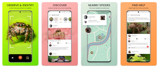 13 Top Bug Identifier Apps to Explore the World of Insects