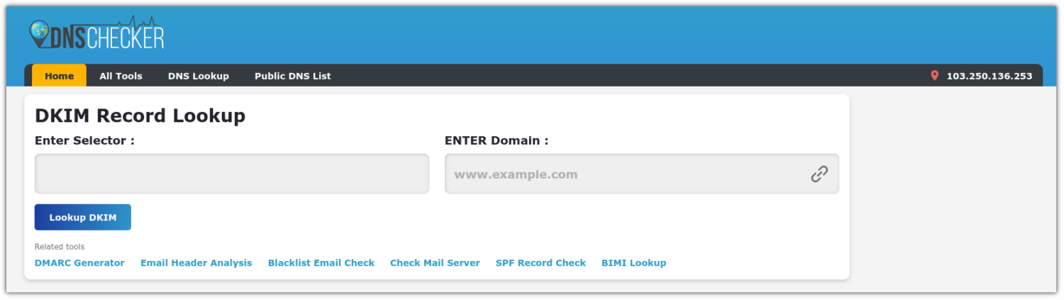 DNS checker