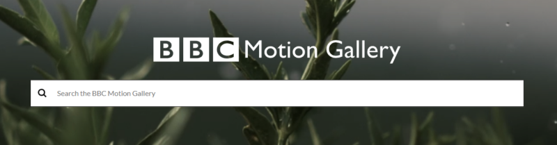 galería de movimiento de la bbc