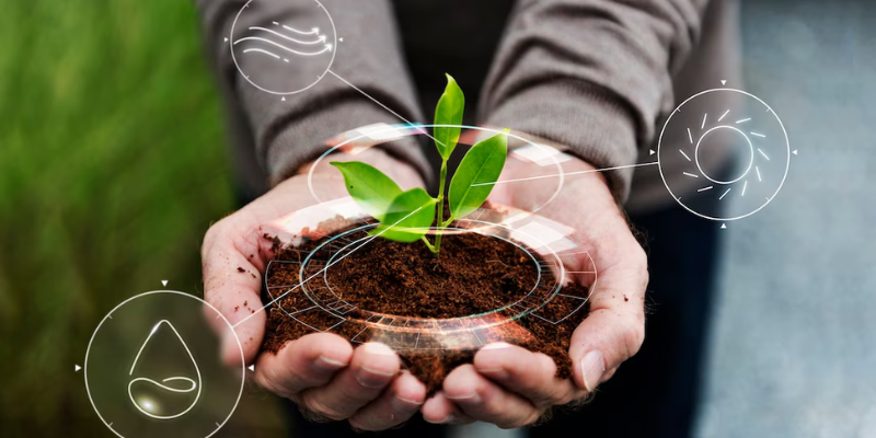 A man holding a plant in his hands.