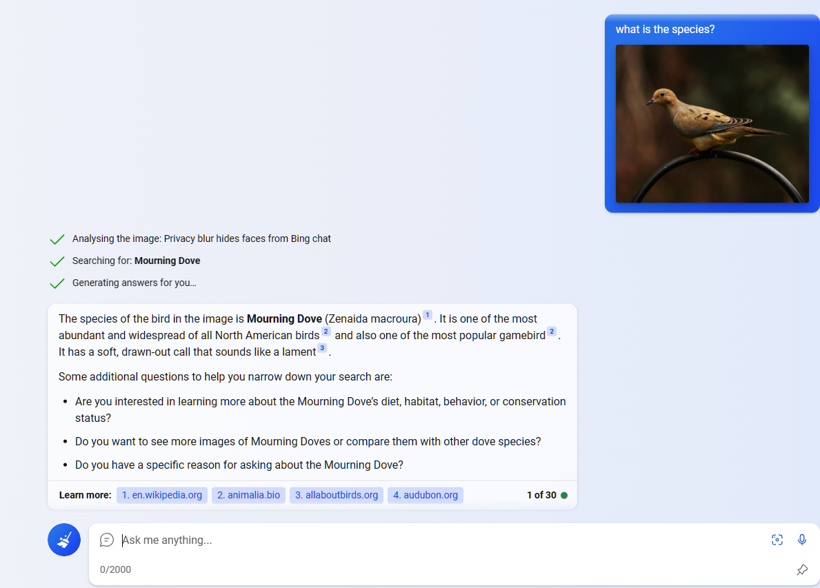 Bing-Chat-Visual-Search-Result-for bird